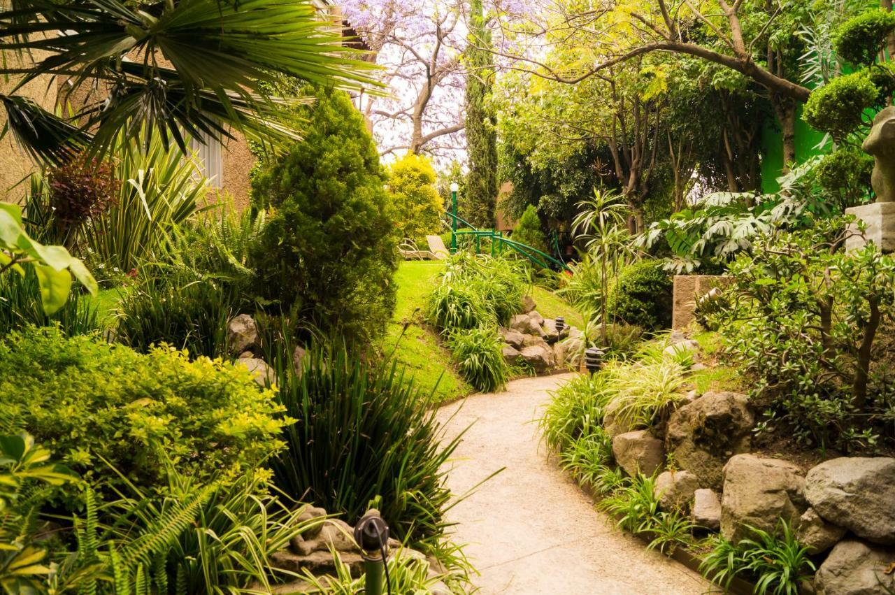 Suite 4A, Terraza, Garden House, Welcome To San Angel Mexico City Exterior photo